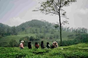 Trekking Kebun Teh Sukawana | EO Prabu Outbound
